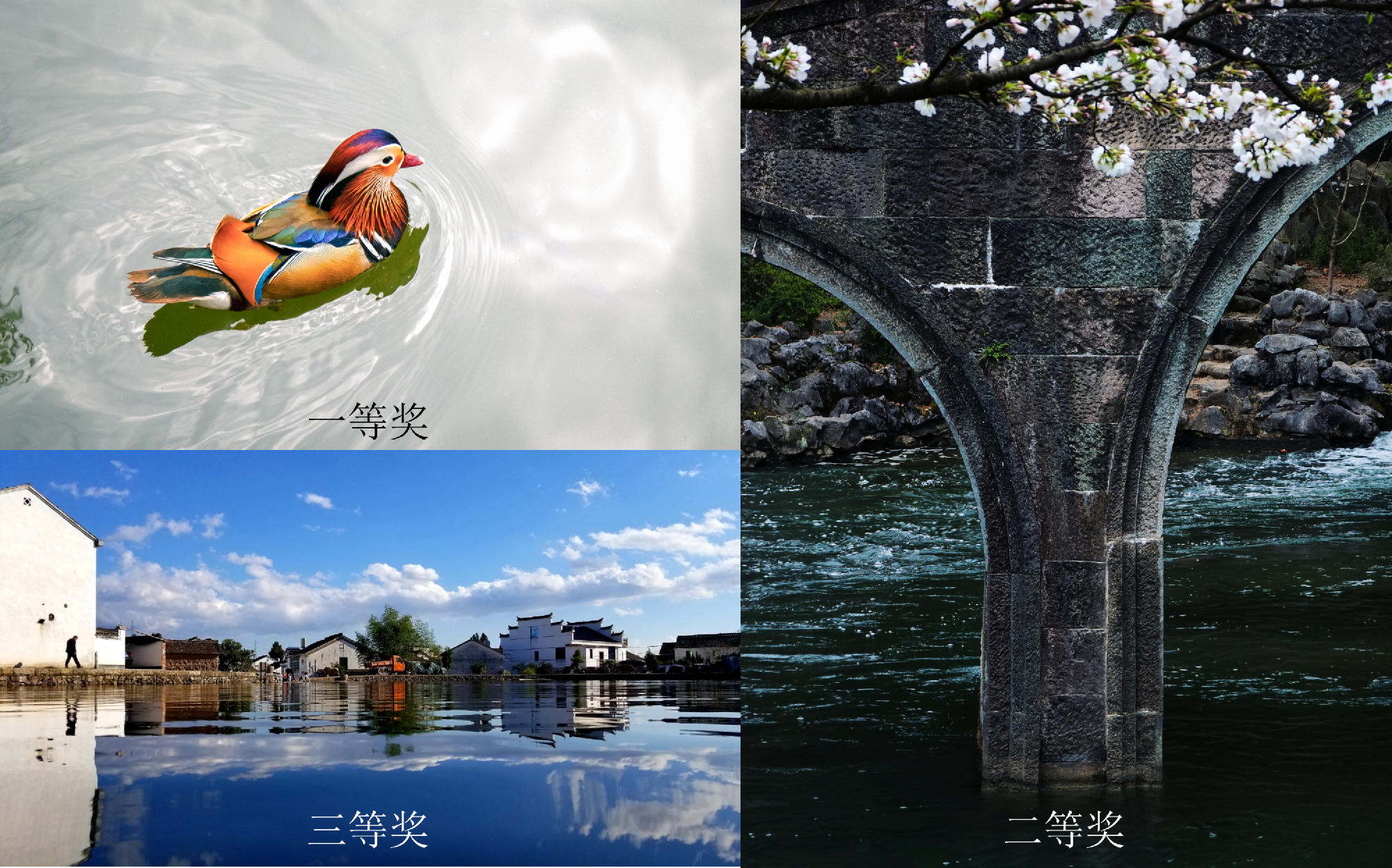 佰富彩-安全购彩大厅官网